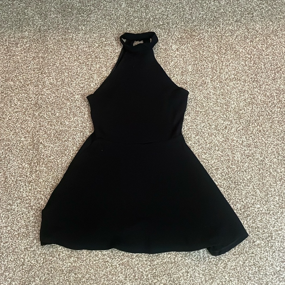 American Apparel Sleeveless High Neck Skater Dress